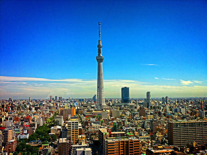 東京湾岸エリア